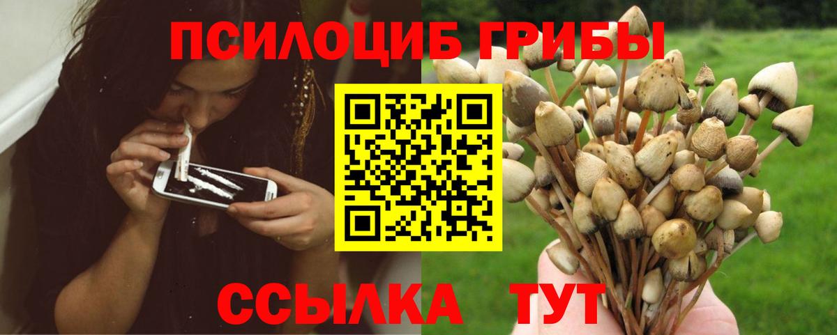 Псилоцибиновые грибы GOLDEN TEACHER Астрахань